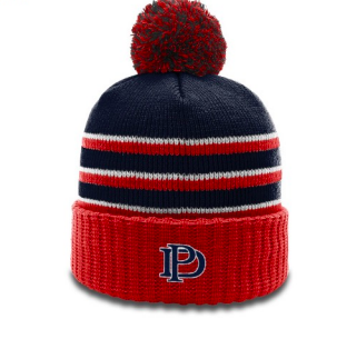 DP Beanie